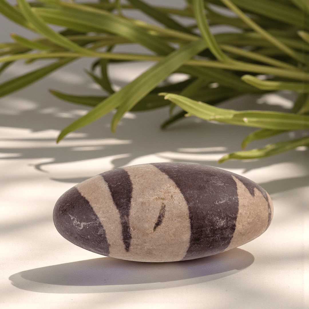 Shiva lingam stone for grounding and balance available at Canadian crystal store zen collection in Barrie 