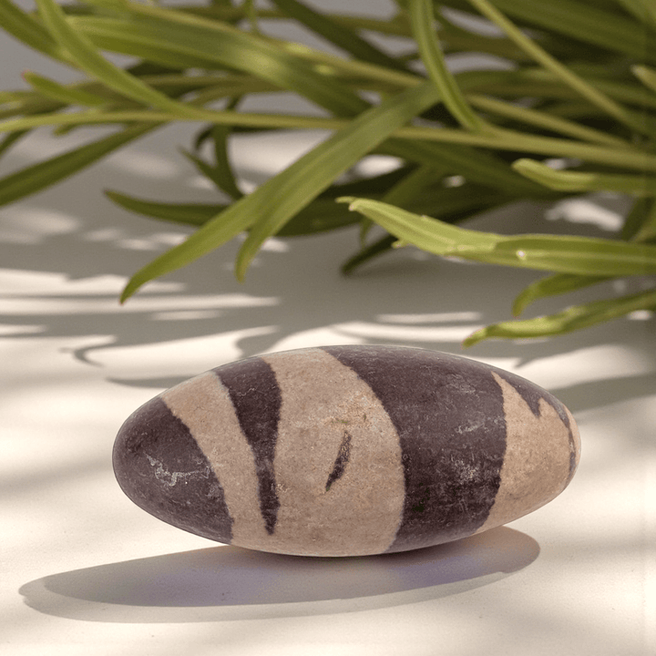 Shiva lingam stone for grounding and balance available at Canadian crystal store zen collection in Barrie 