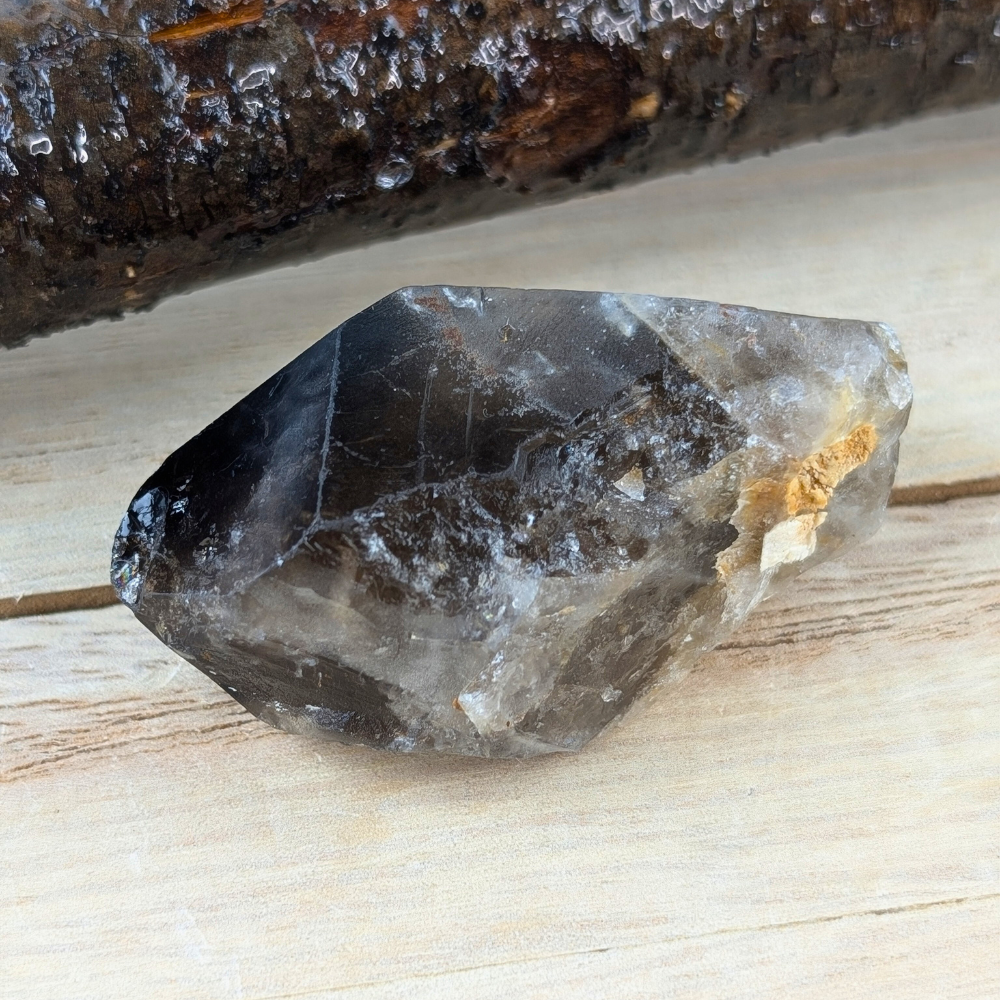 Polished Smoky Quartz point held in hand for scale