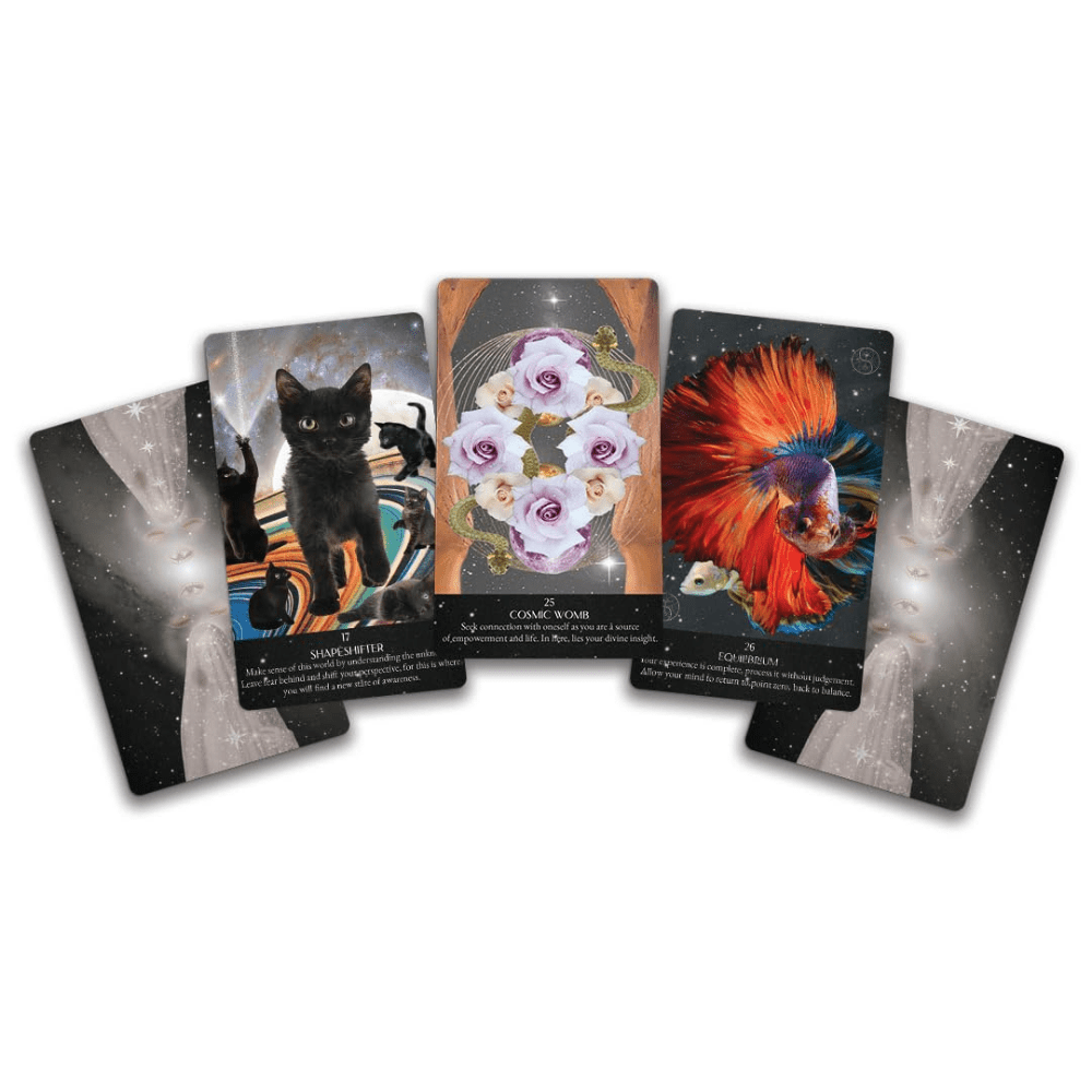 Starlight Frequencies Oracle deck displayed on a table