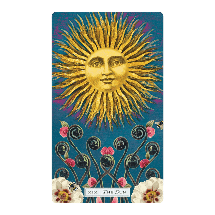 Modern and Inclusive Tarot of the Cosmic Seed Deck