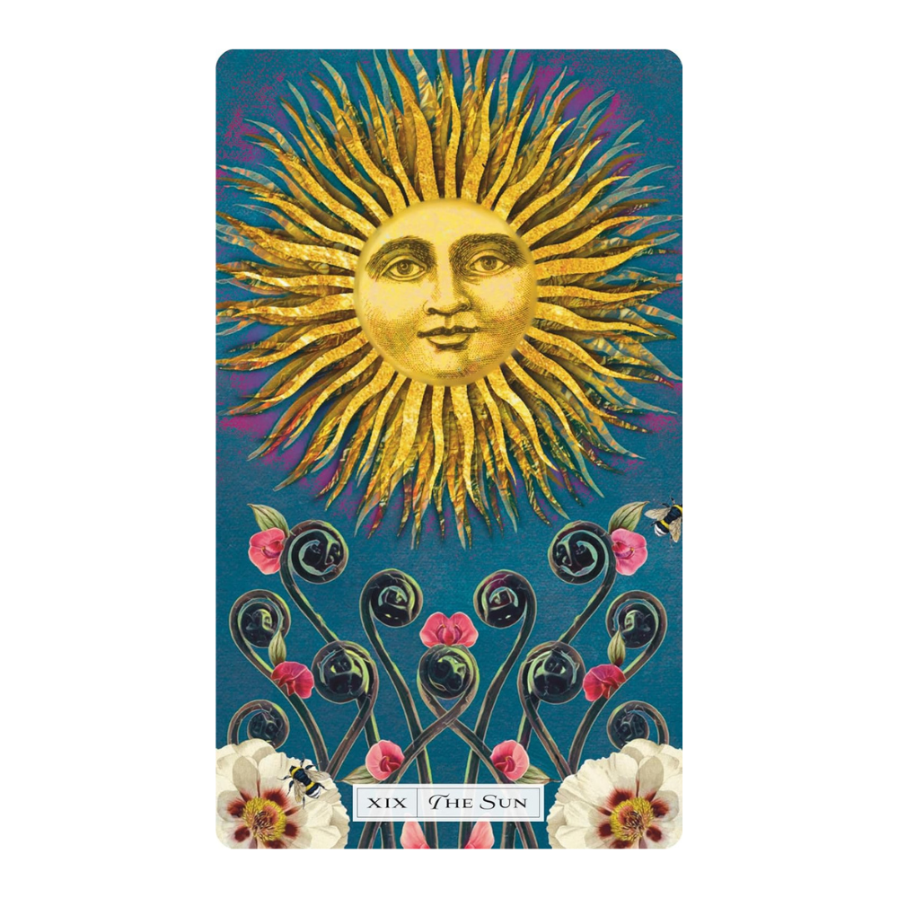 Modern and Inclusive Tarot of the Cosmic Seed Deck