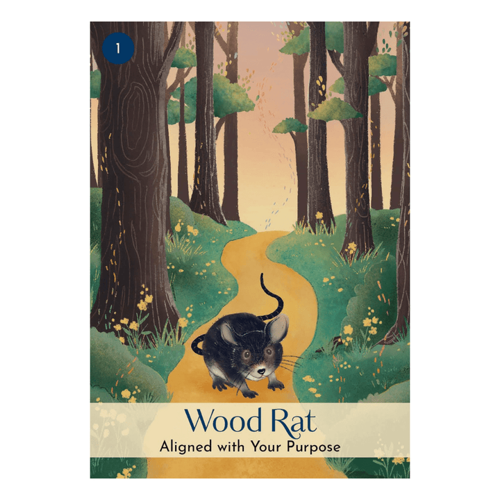 vicki iskandar metaphysical oracle deck