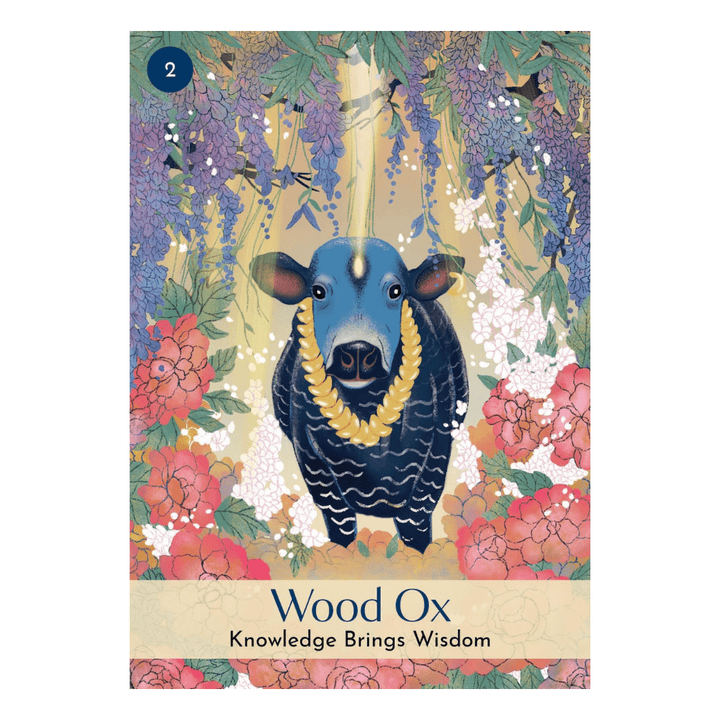 five elements card deck with guidebook