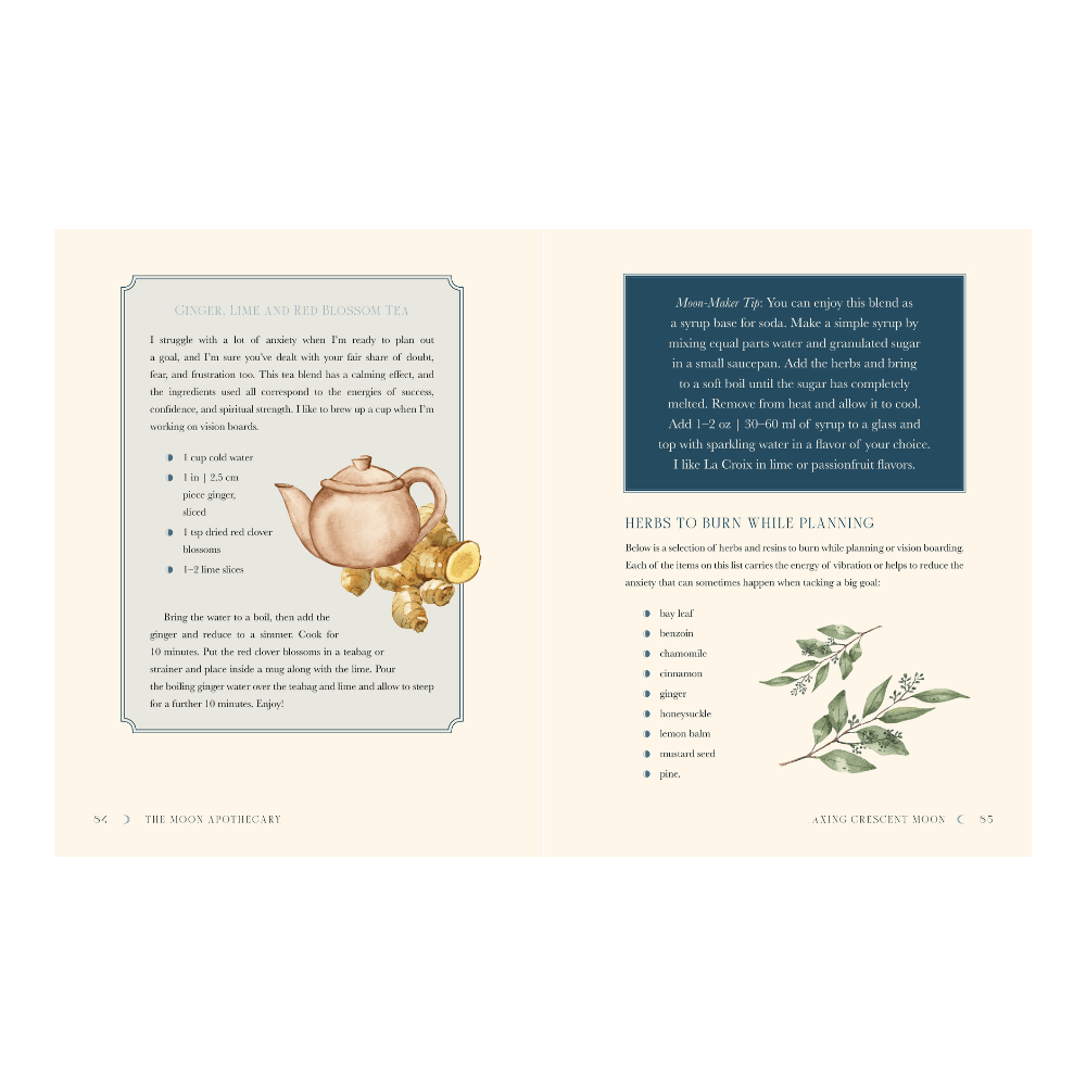 The Moon Apothecary book by Lorriane Anderson