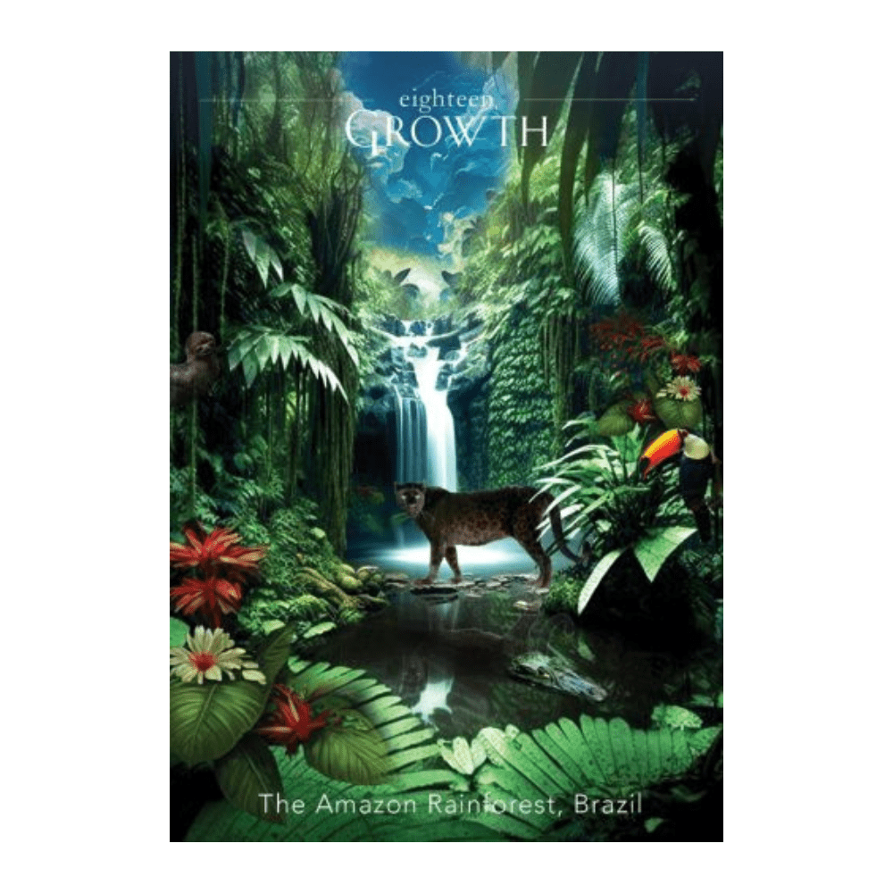 amazon rainforest oracle insight deck