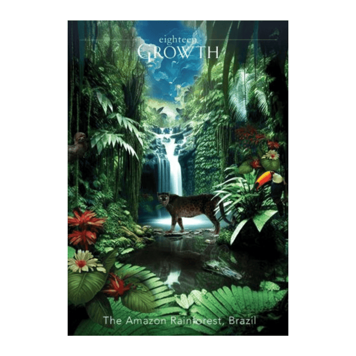 amazon rainforest oracle insight deck