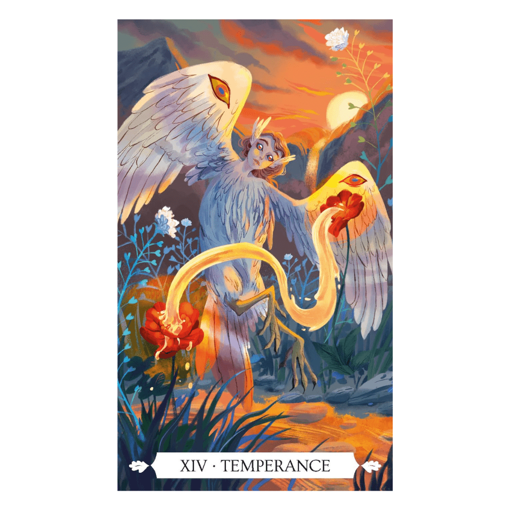 Oracle-style tarot deck Canada