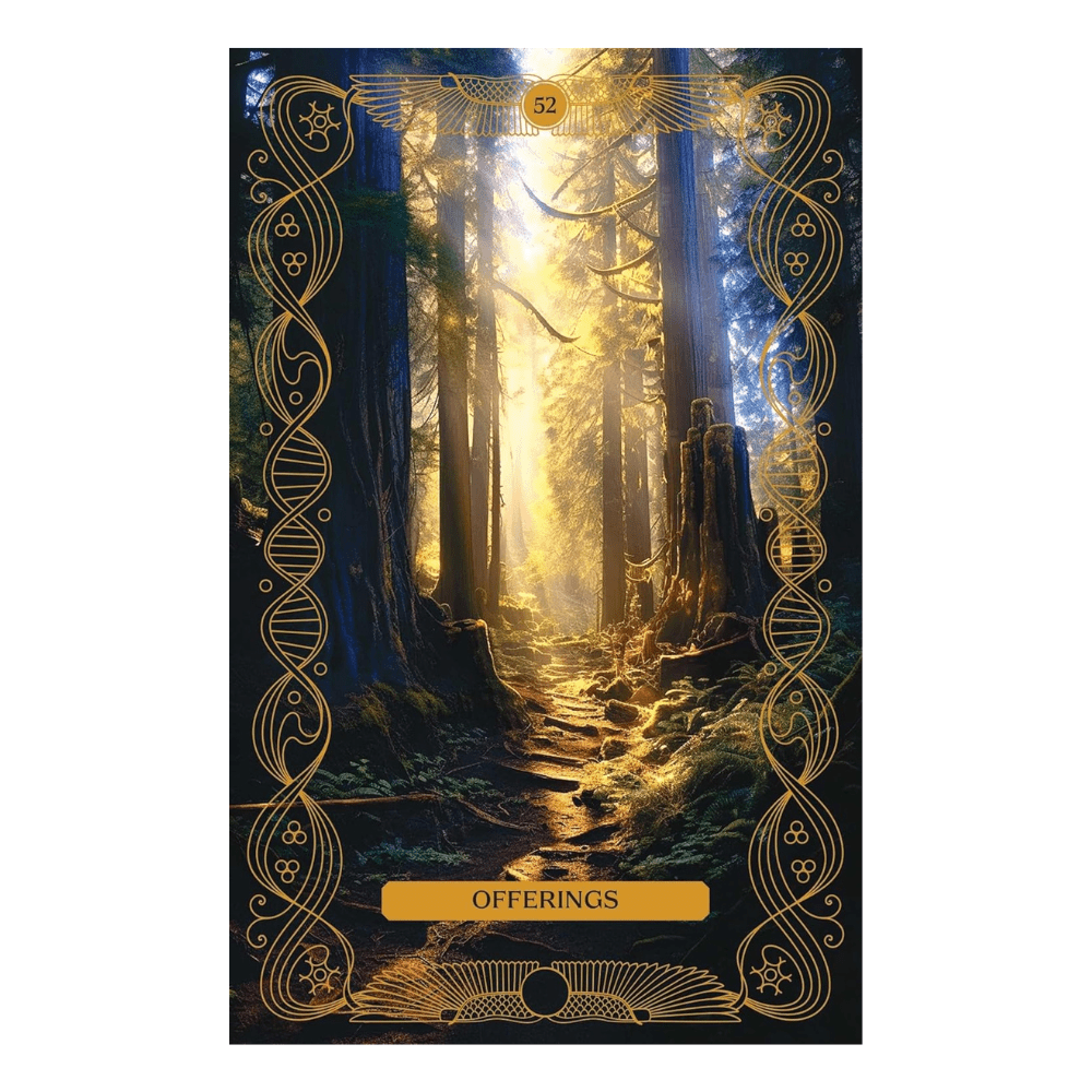 What We've Forgotten Oracle Deck by Amy Miranda
