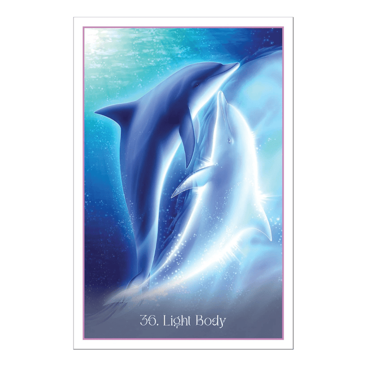 Transformative Dolphin Oracle Deck with 168-Page Guidebook