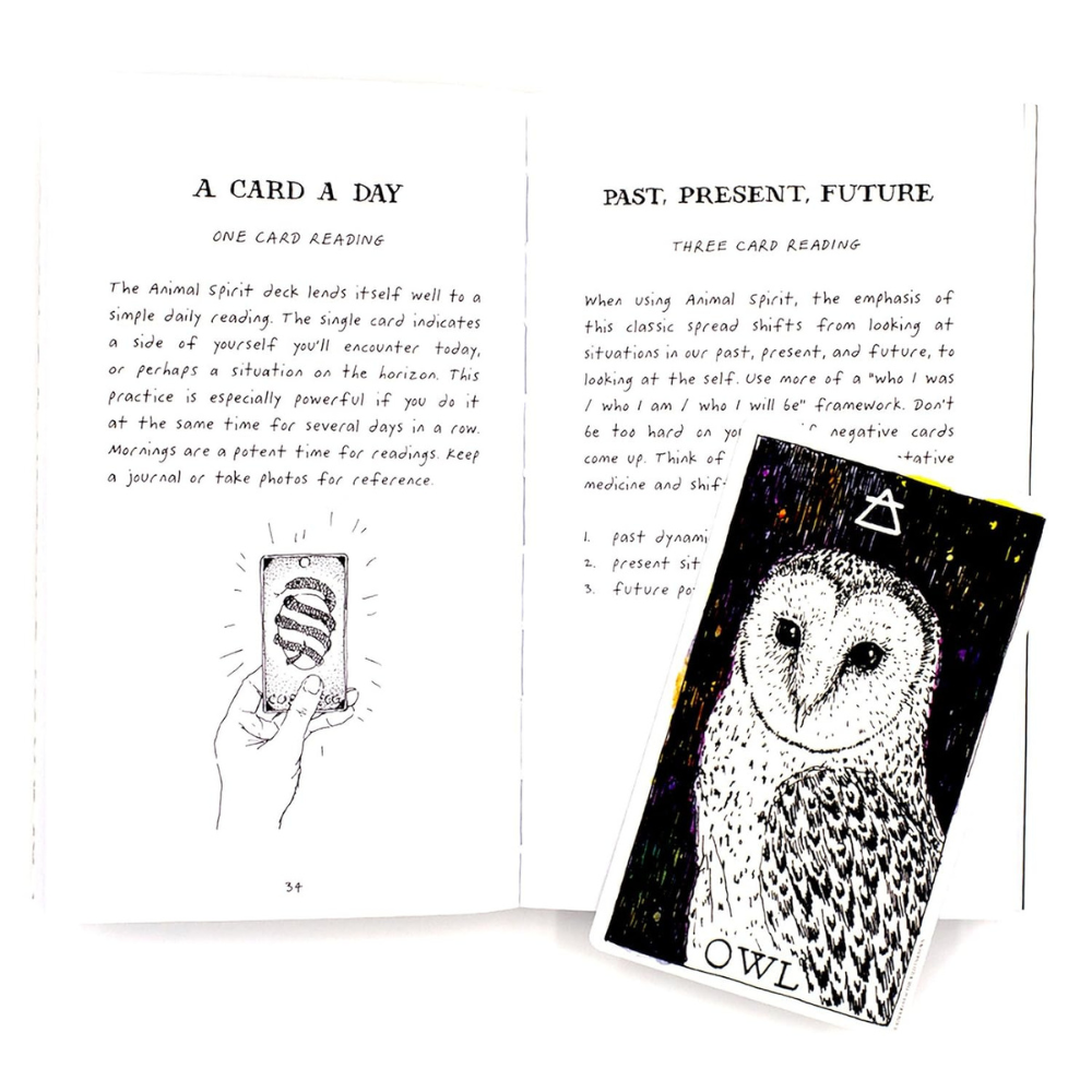 Kim Krans Illustrated Animal Spirit Oracle for Intuitive Readings