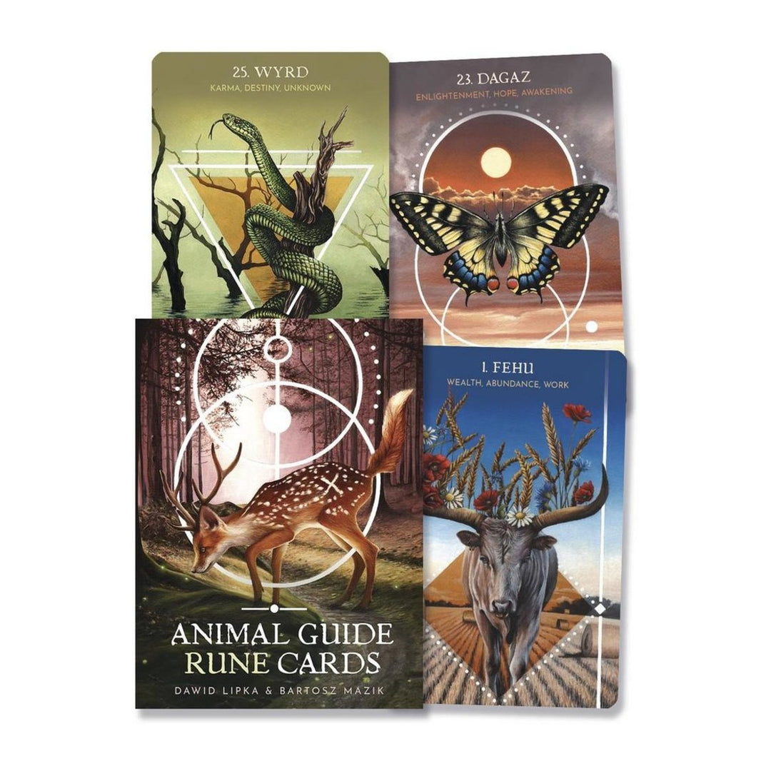 Animal Guide Rune Cards box by Dawid Lipka and Bartosz Mazik, with three cards