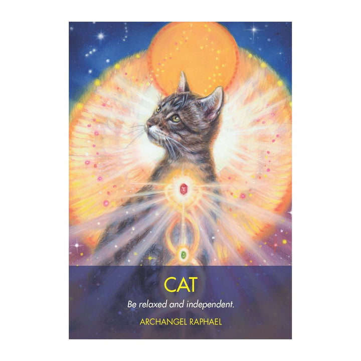 Cat card from the Archangel Animal Oracle Cards