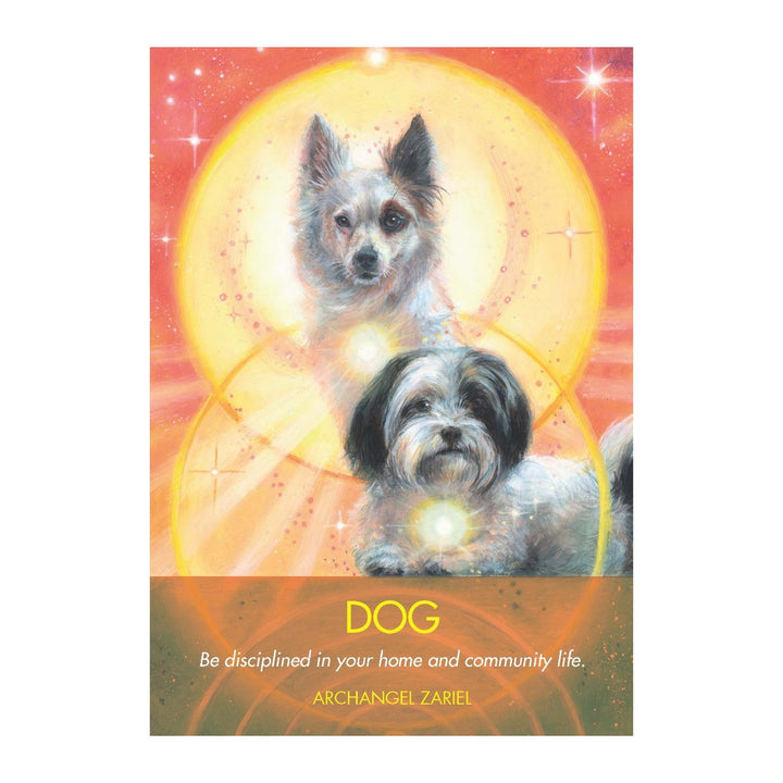 Dog card from the Archangel Animal Oracle Cards