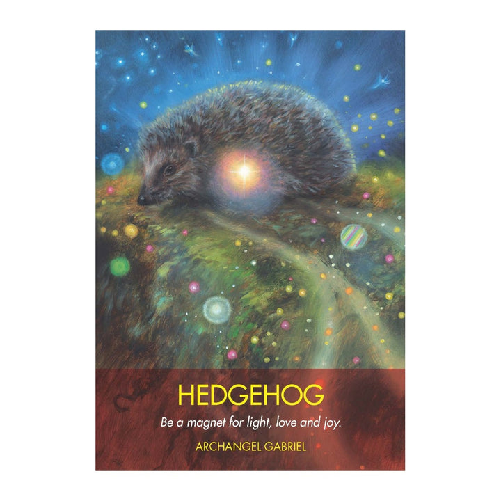 Hedgehog card from the Archangel Animal Oracle Cards