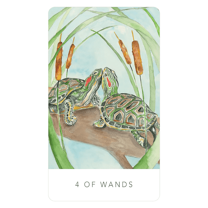 black seed tarot with illustrated guidebook