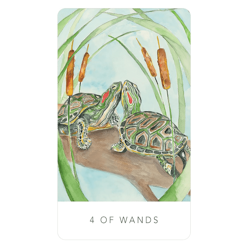 black seed tarot with illustrated guidebook