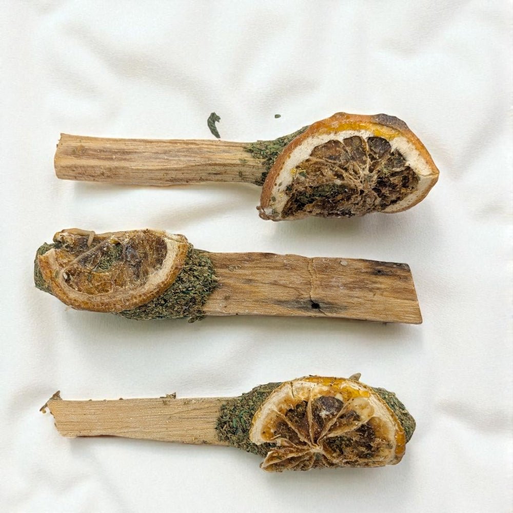 Three palo santo wooden sticks with dried orange slices and green cedar on a white background from zen collection metaphysical shop