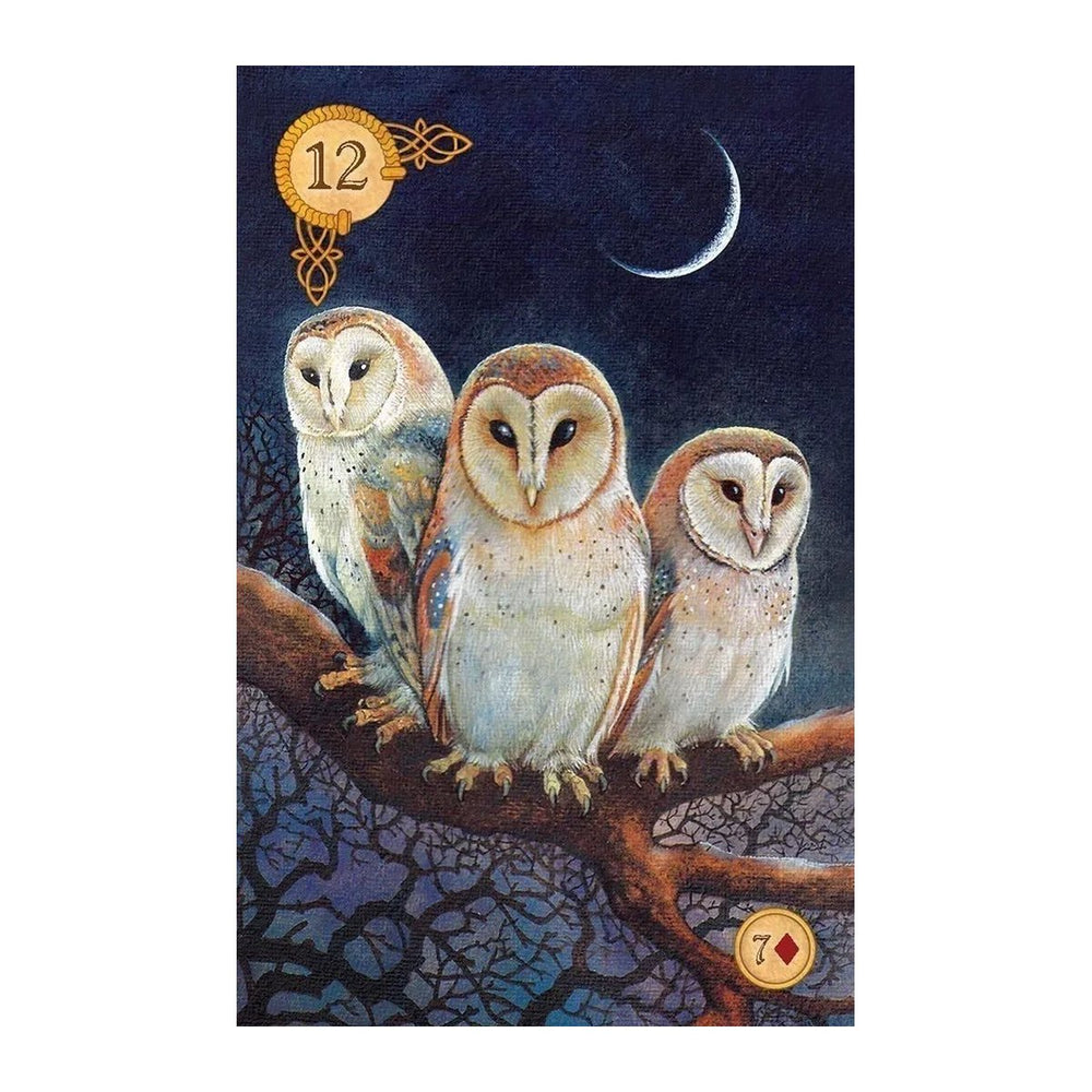 Card 12 from the Celtic Lenormand, showing three barn owls on a branch