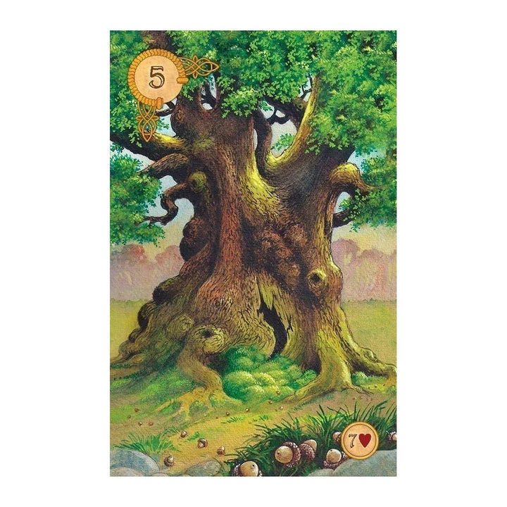 Card 5 from the Celtic Lenormand, showing an old oak tree