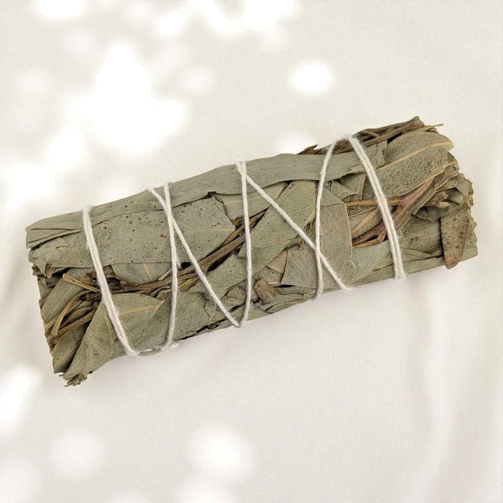 Bundled eucalyptus smudge stick on a white background sourced by metaphysical store in Barrie Ontario
