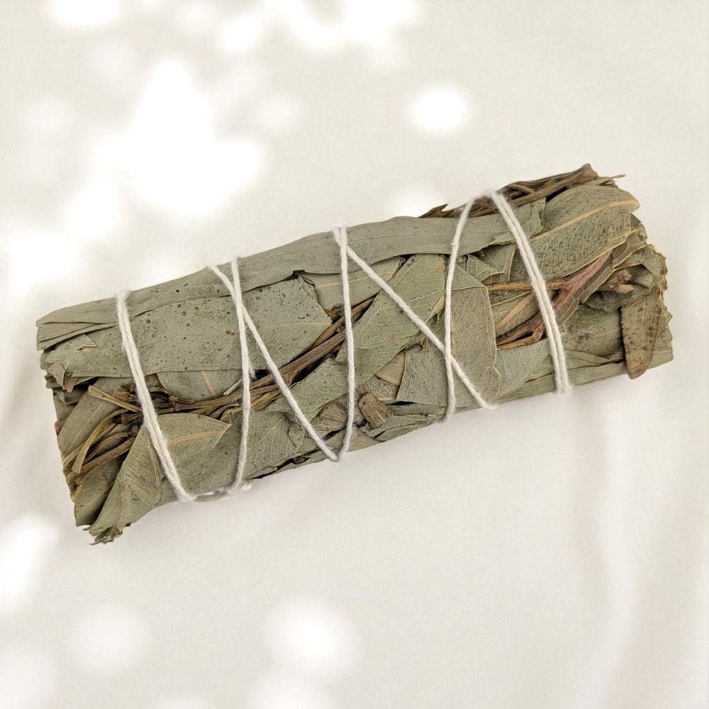 Bundled eucalyptus smudge stick on a white background sourced by metaphysical store in Barrie Ontario