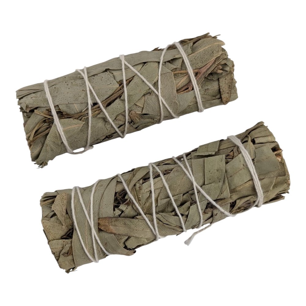 Two bundles of eucalyptus tied with white string on a white background available at crystal store in barrie