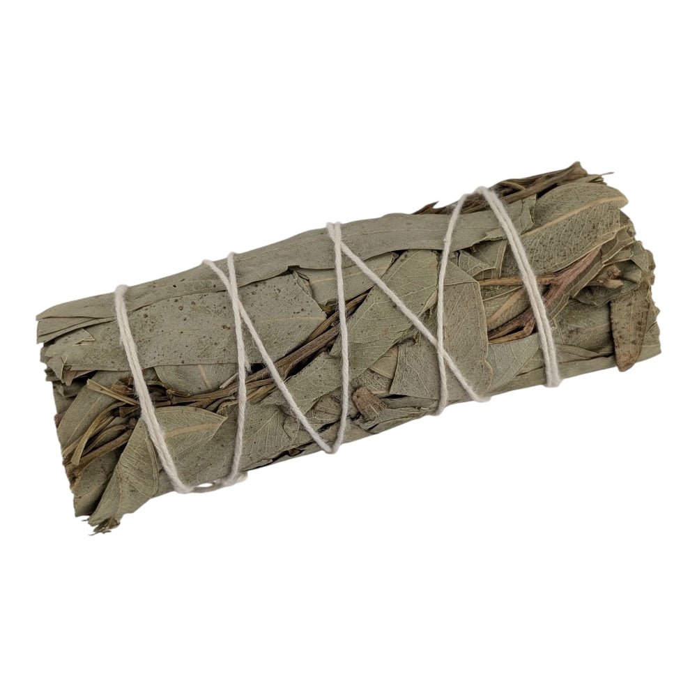 Bundled eucalyptus smudge stick on a white background available at crystal store near me