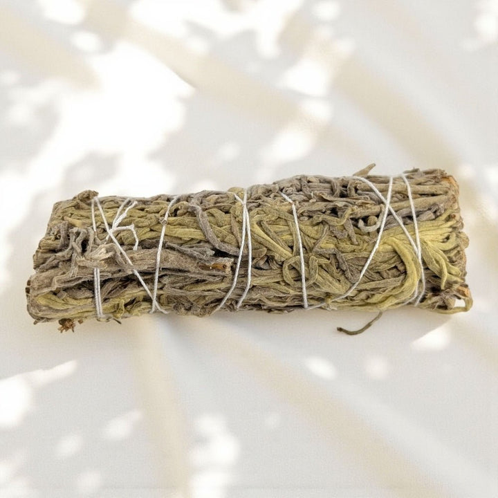 Bundled green sage smudge stick on a white background