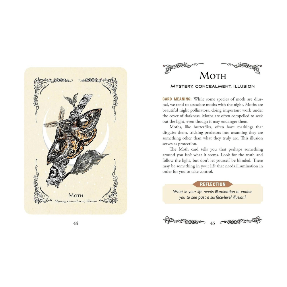 Green Witch Oracle Cards - 50-Card Deck for Natural Magic available at Zen Collection Canadian Crystal store