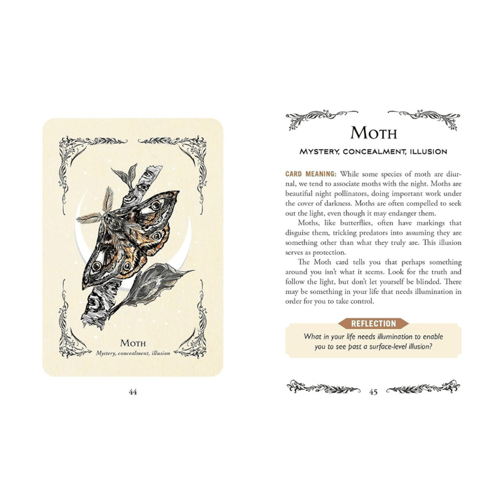Green Witch Oracle Cards - 50-Card Deck for Natural Magic available at Zen Collection Canadian Crystal store