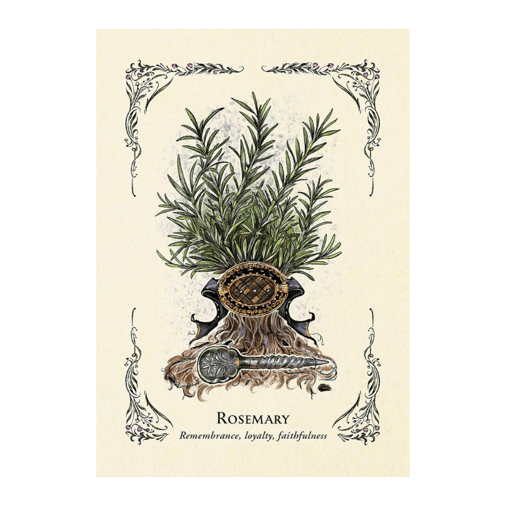 Green Witch Oracle Cards - 50-Card Deck for Natural Magic available at Zen Collection Canadian Crystal store