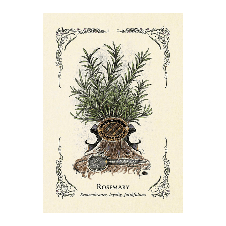Green Witch Oracle Cards - 50-Card Deck for Natural Magic available at Zen Collection Canadian Crystal store