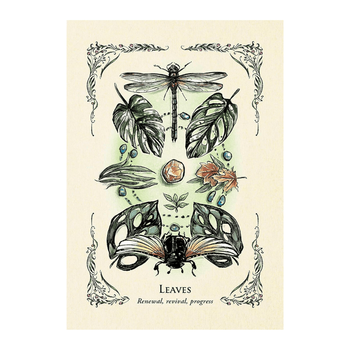 Green Witch Oracle Cards - 50-Card Deck for Natural Magic available at Zen Collection Canadian Crystal store