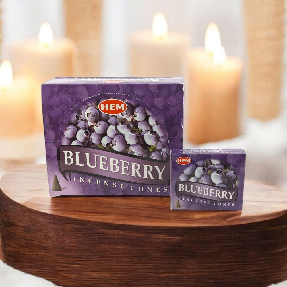 HEM Blueberry Incense Cones – 10 Cones + Holder for Joy & Relaxation