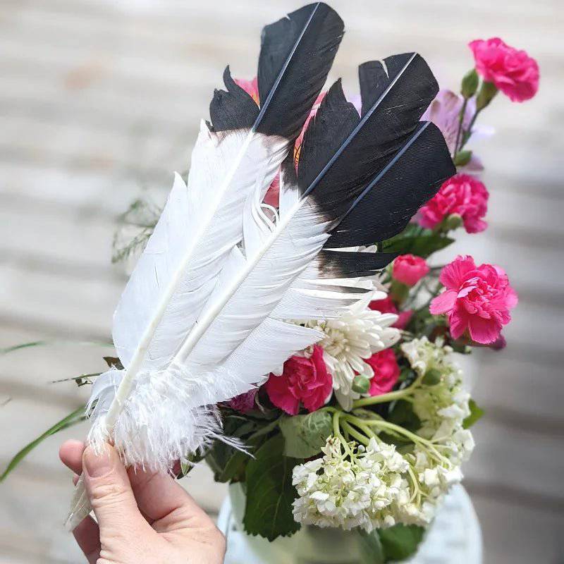 Imitation Eagle Feather available in-store or online at Zen Collection Metaphysical Store Canada