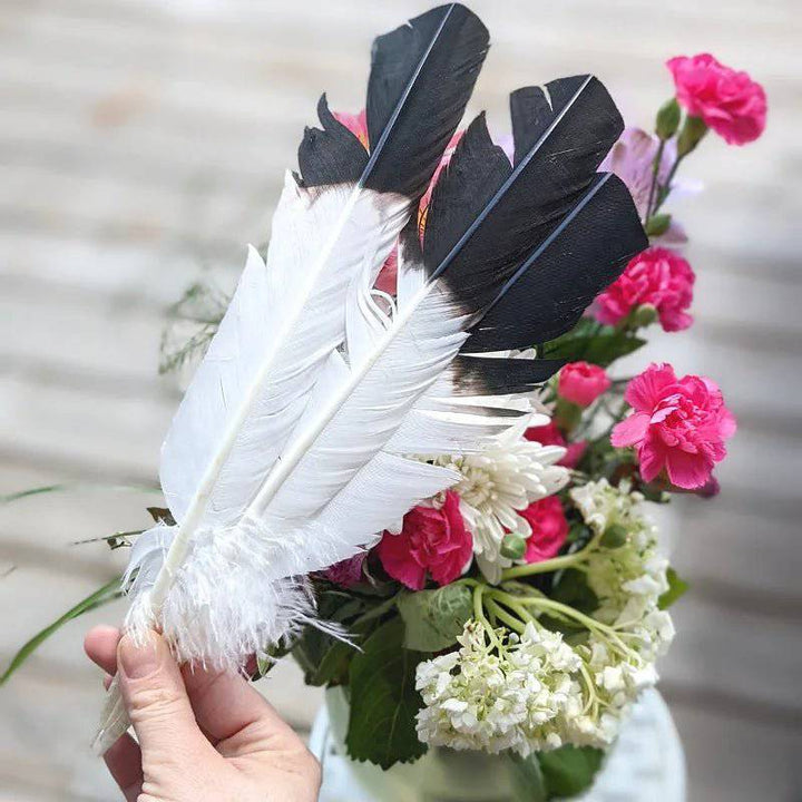 Imitation Eagle Feather available in-store or online at Zen Collection Metaphysical Store Canada