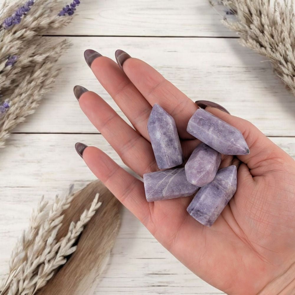 Intuitively Chosen Tiny Lepidolite Stone