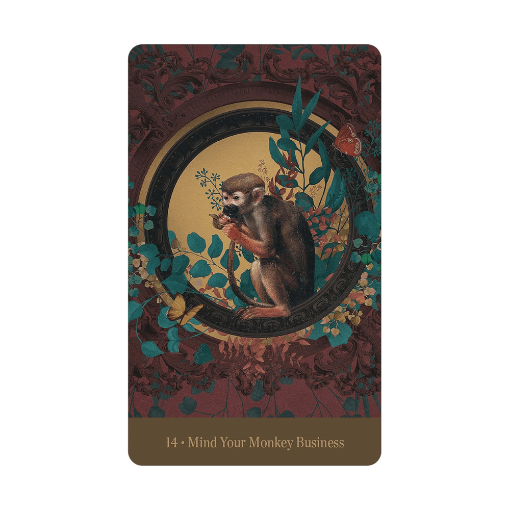 oracle card decks like love who you are available at zen collection metaphysical store in-store or online