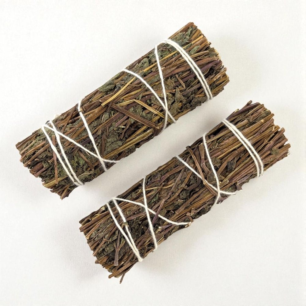 Two bundles of dried peppermint sticks tied with white string on a white background sourced by Zen Collection metaphysical store ontario