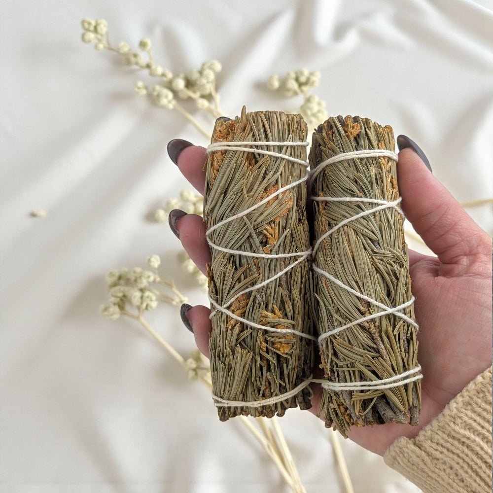 Hand holding two bundles of sage wrapped with twine against a white background