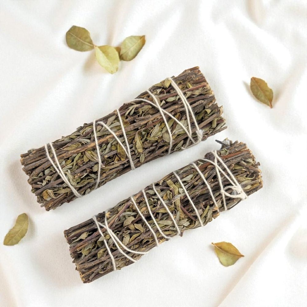 Two bundles of royal  sage tied with twine on a light background available at Zen Collection crystal store inn Barrie