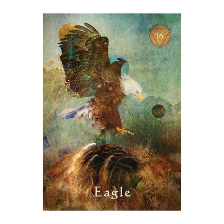 Eagle card from the Mystical Shaman Pocket Oracle Cards