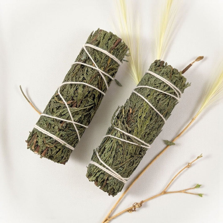 Two bundles of cedar wrapped in twine on a white background available at Barrie metaphysical store