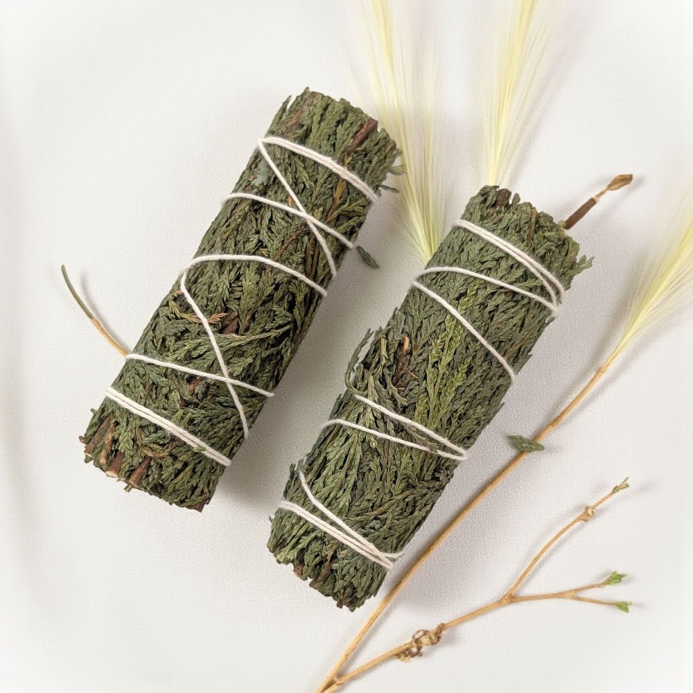 Two bundles of cedar wrapped in twine on a white background available at Barrie metaphysical store