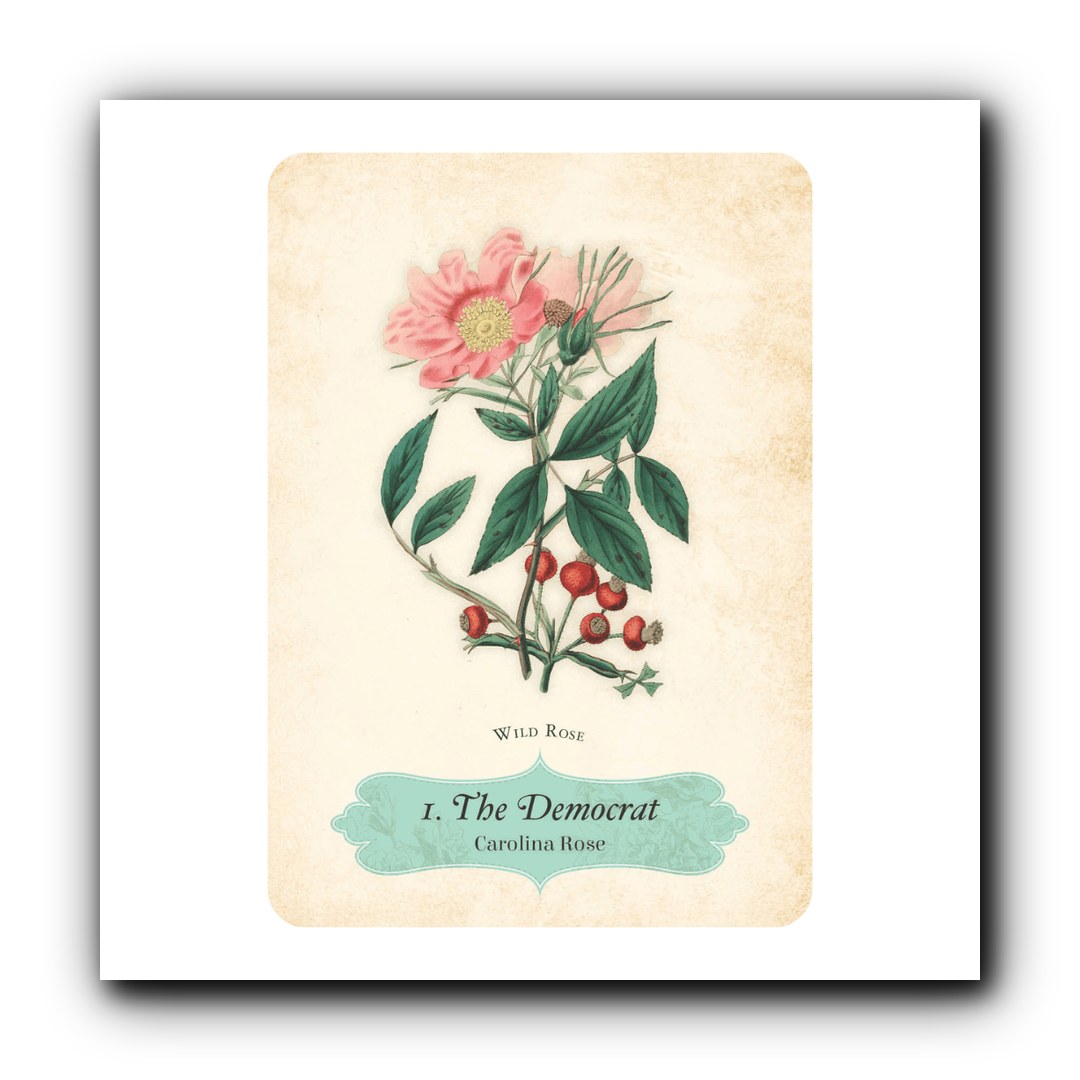 Oracle of the Roses — Image 2 | tarot deck Canada | Zen Collection