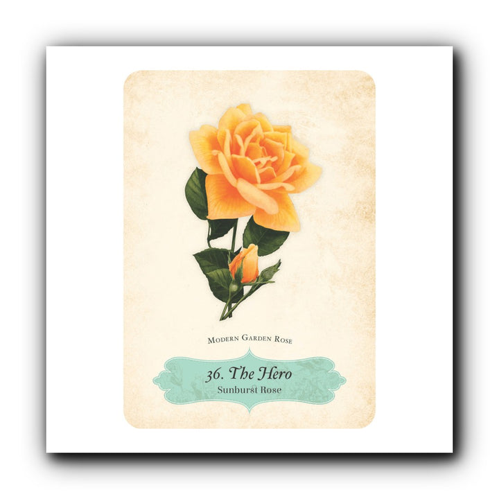 Oracle of the Roses — Image 5 | buy tarot deck online Canada | Zen Collection