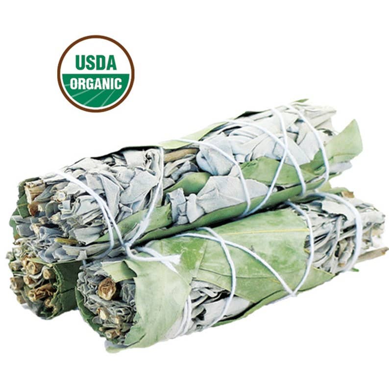 Organic White Sage & Eucalyptus Smudge Stick - Zen Collection