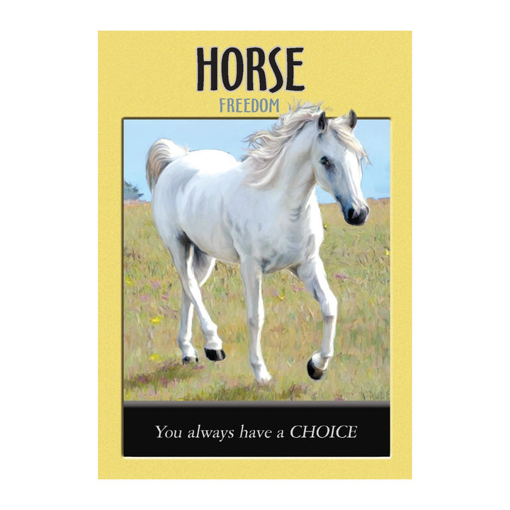 Horse card from the Power Animal Oracle Cards