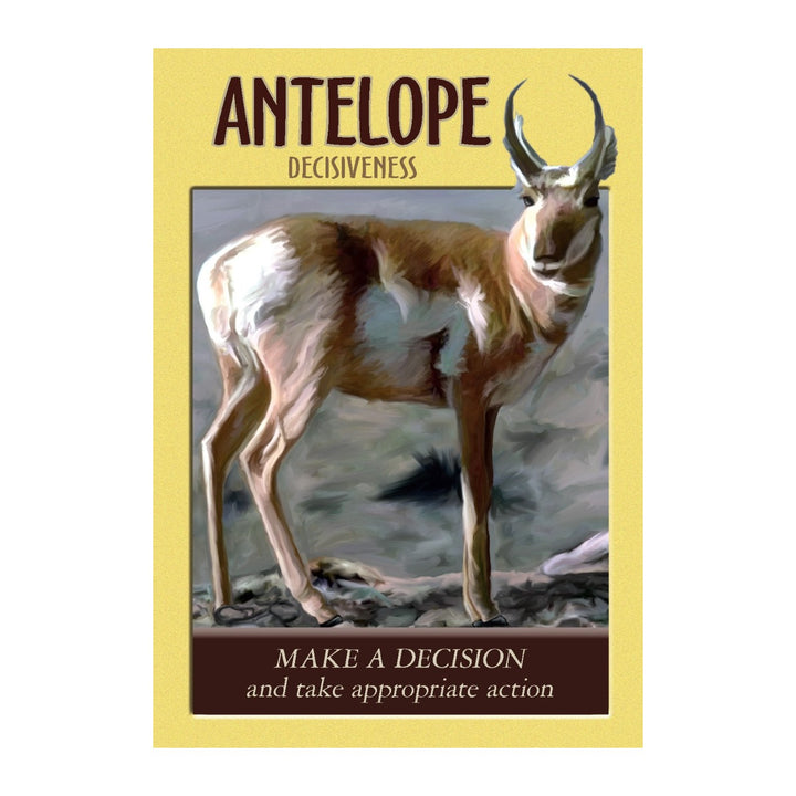 Antelope card from the Power Animal Oracle Cards